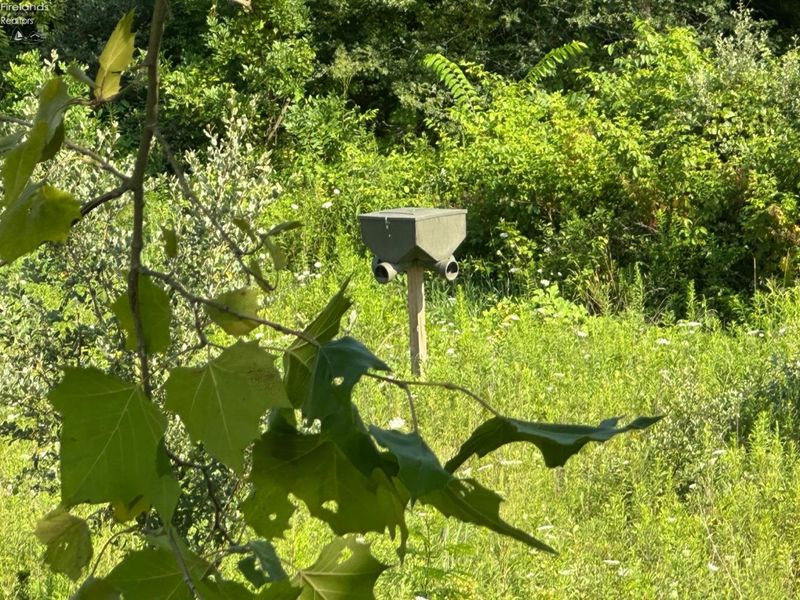 0 S Tr 173, Bloomville, OH 44818 Photo 36