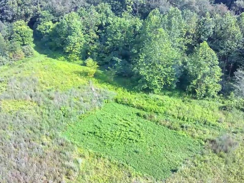 0 S Tr 173, Bloomville, OH 44818 Photo 37