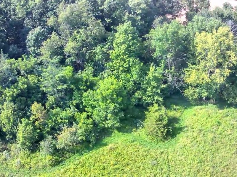 0 S Tr 173, Bloomville, OH 44818 Photo 40