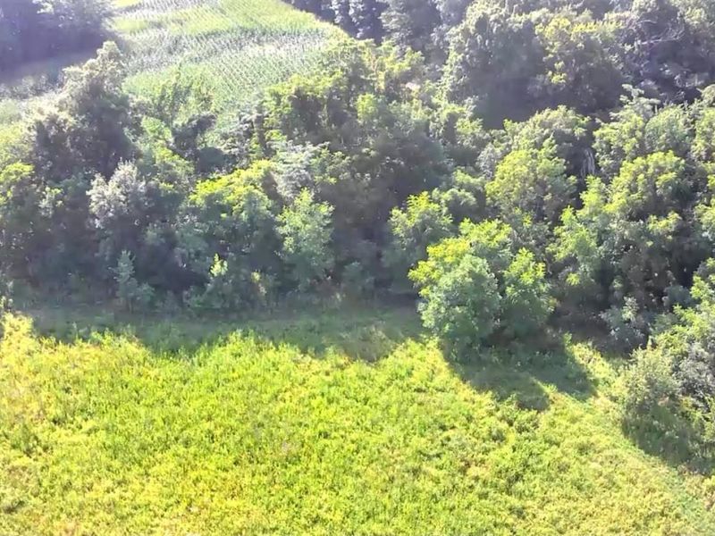 0 S Tr 173, Bloomville, OH 44818 Photo 41