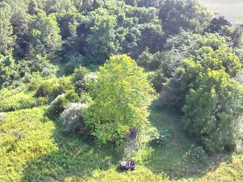 0 S Tr 173, Bloomville, OH 44818 Photo 42