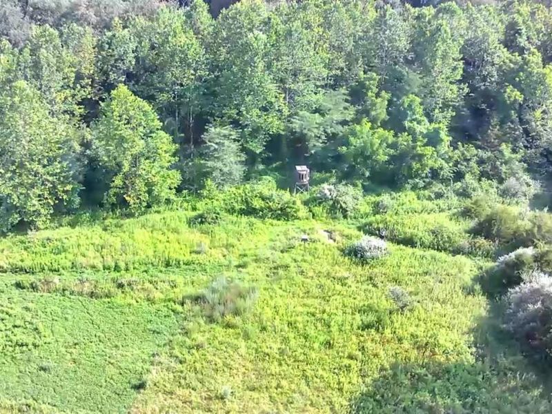 0 S Tr 173, Bloomville, OH 44818 Photo 43