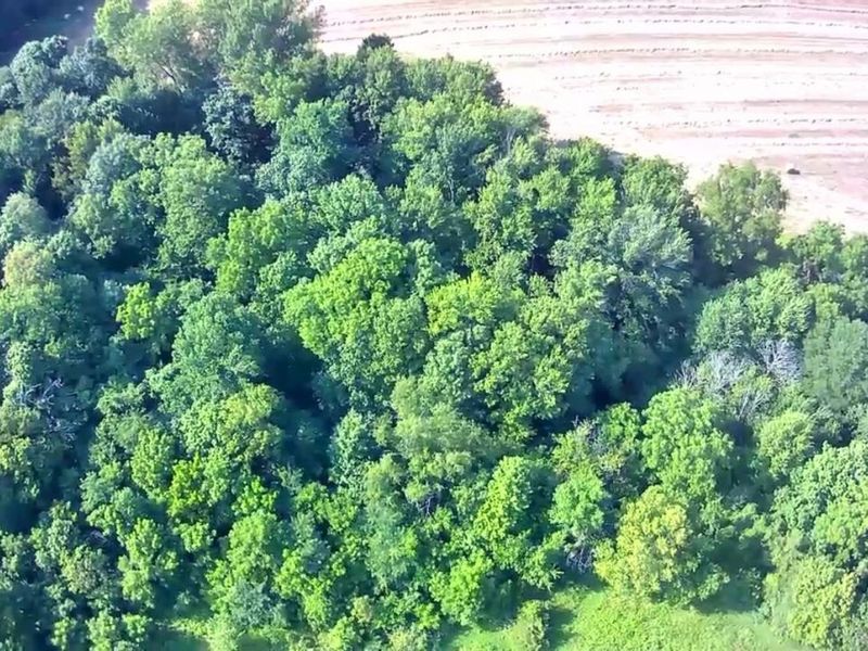 0 S Tr 173, Bloomville, OH 44818 Photo 46