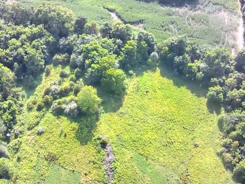 0 S Tr 173, Bloomville, OH 44818 Photo 47