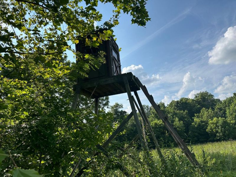 0 S Tr 173, Bloomville, OH 44818 Photo 51