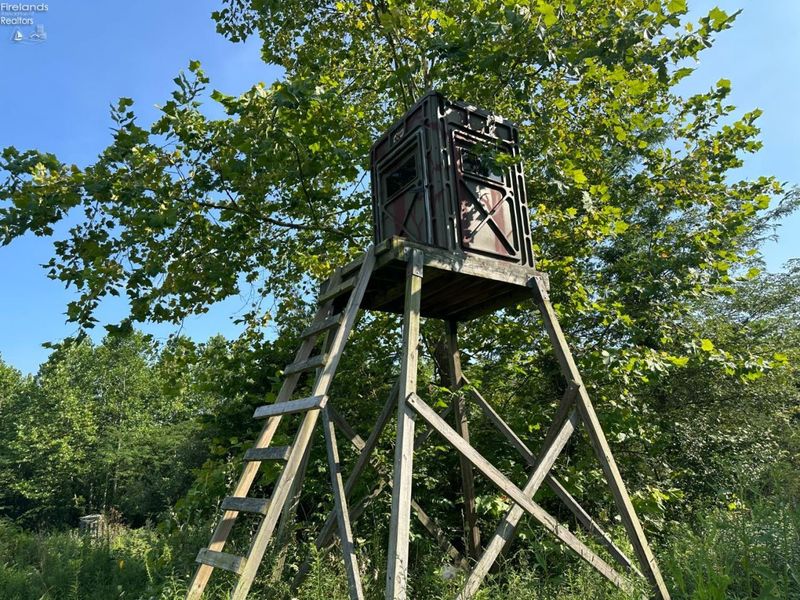 0 S Tr 173, Bloomville, OH 44818 Photo 52