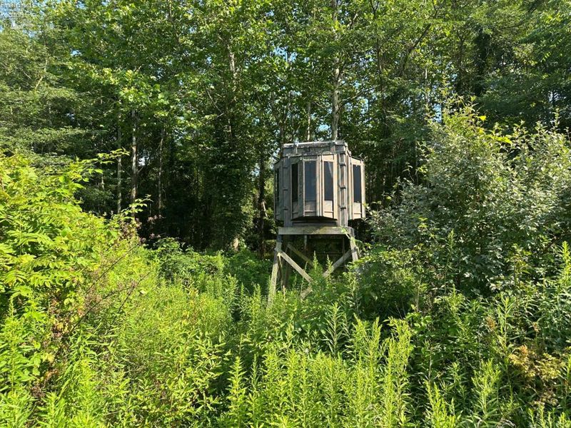 0 S Tr 173, Bloomville, OH 44818 Photo 53