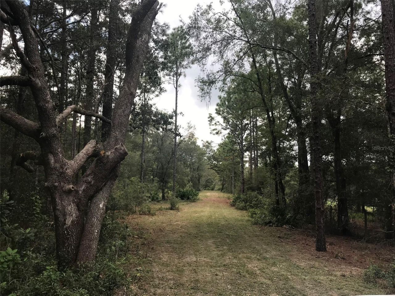 12864 SW 41st Place, Ocala, FL 34481 Photo