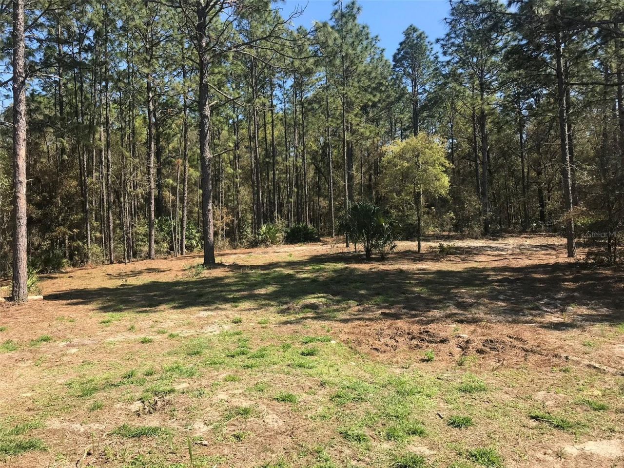 12864 SW 41st Place, Ocala, FL 34481 Photo