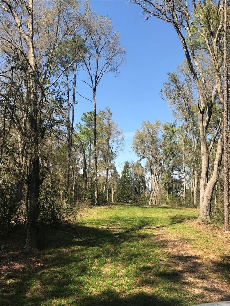 12864 SW 41st Place, Ocala, FL 34481 Photo