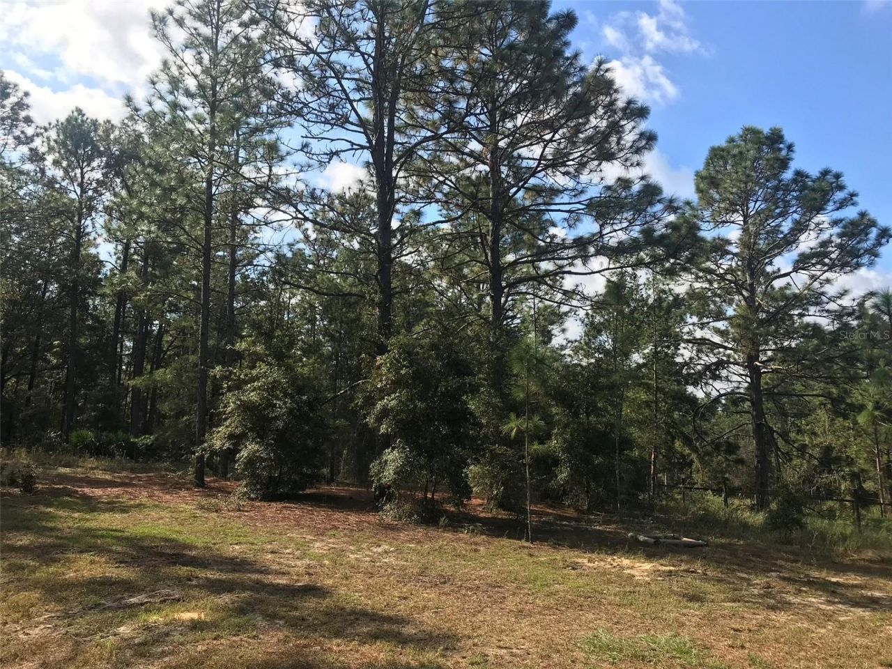 12864 SW 41st Place, Ocala, FL 34481 Photo