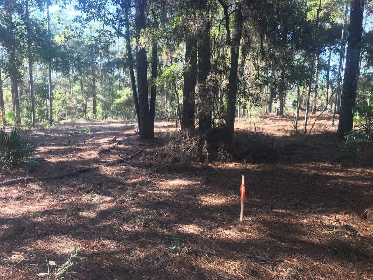 12864 SW 41st Place, Ocala, FL 34481 Photo