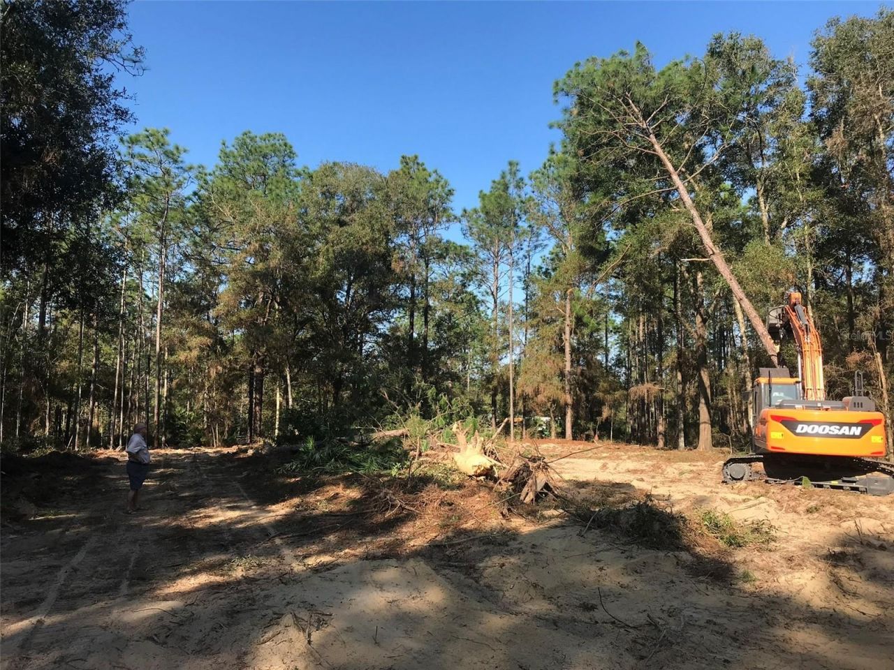 12864 SW 41st Place, Ocala, FL 34481 Photo