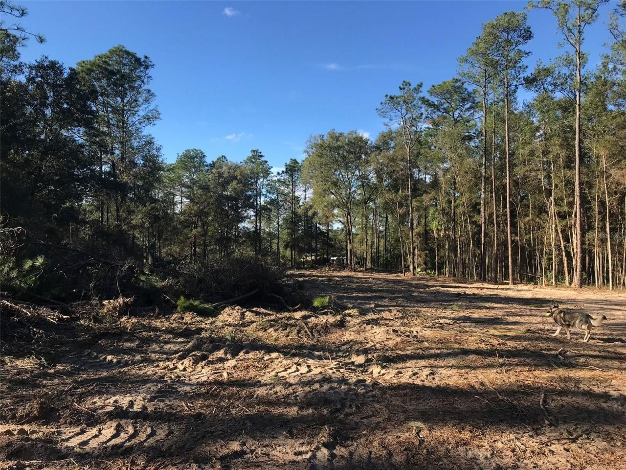 12864 SW 41st Place, Ocala, FL 34481 Photo