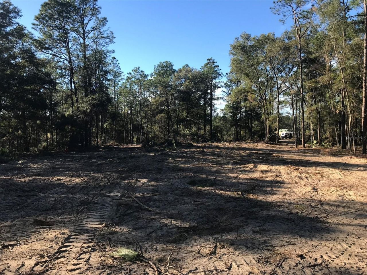 12864 SW 41st Place, Ocala, FL 34481 Photo