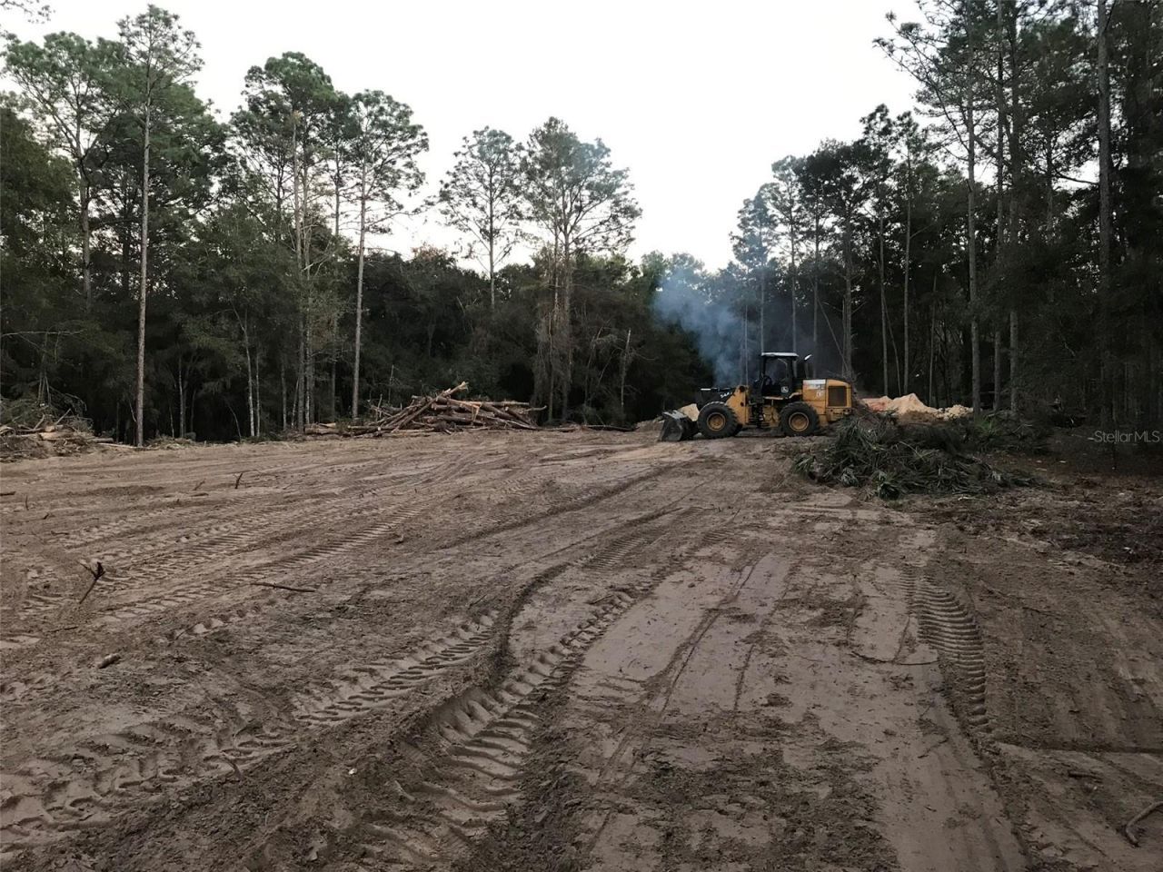 12864 SW 41st Place, Ocala, FL 34481 Photo