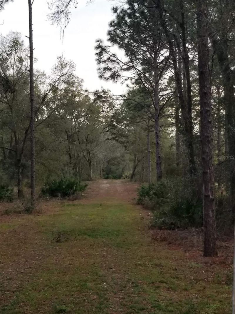 12864 SW 41st Place, Ocala, FL 34481 Photo