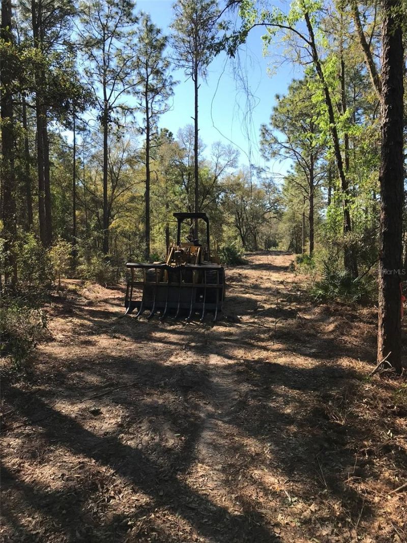 12864 SW 41st Place, Ocala, FL 34481 Photo