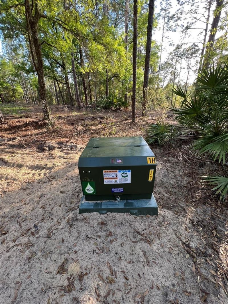 12864 SW 41st Place, Ocala, FL 34481 Photo