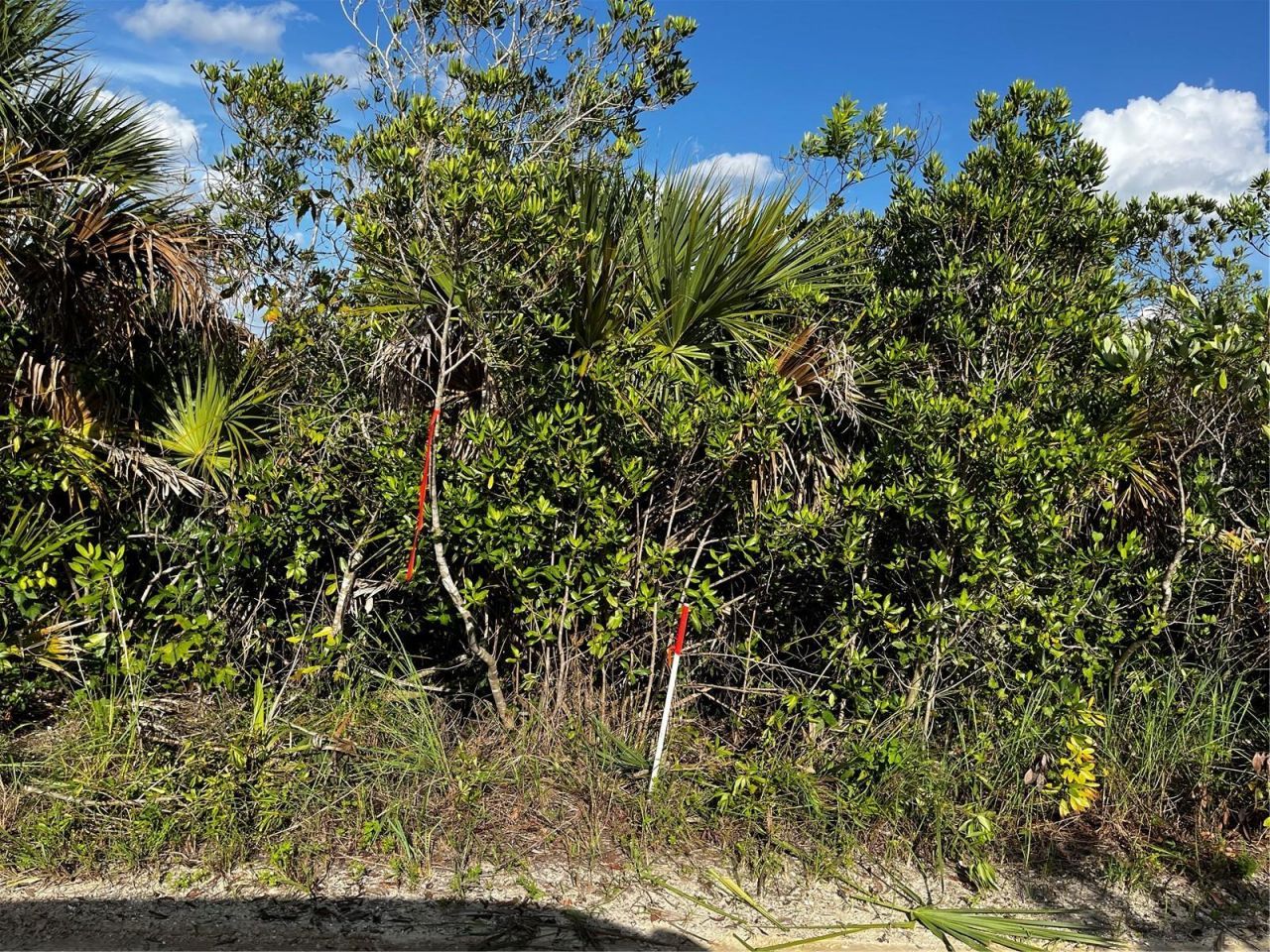 50204 Bermont Road, Punta Gorda, FL 33982 Photo