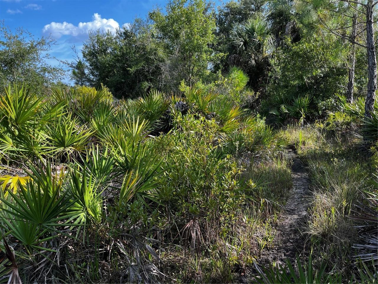 50204 Bermont Road, Punta Gorda, FL 33982 Photo