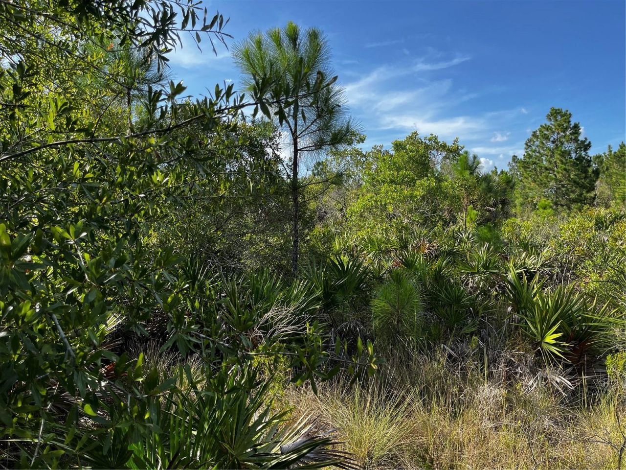 50204 Bermont Road, Punta Gorda, FL 33982 Photo