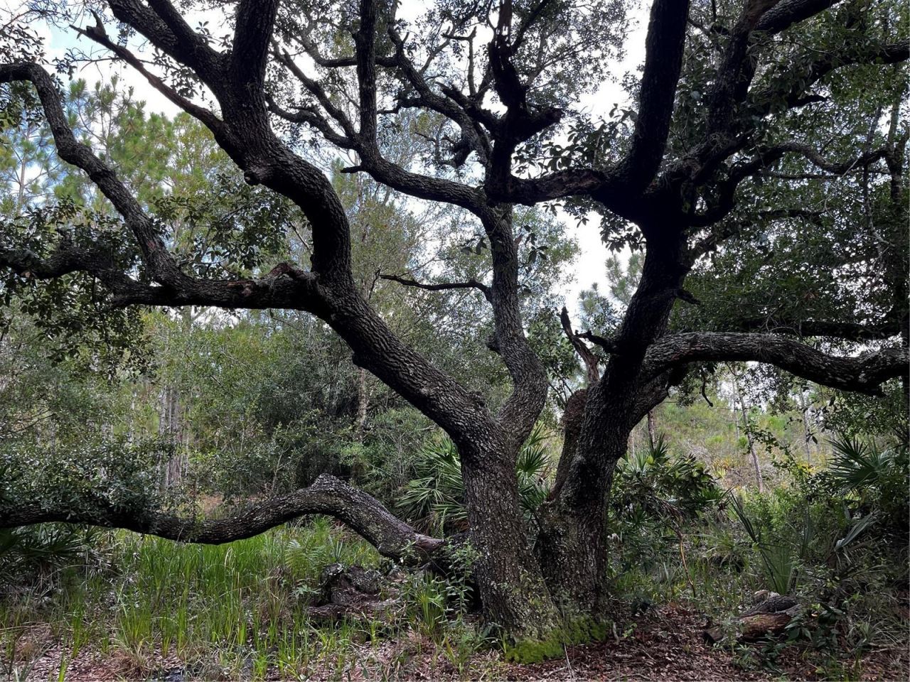 50204 Bermont Road, Punta Gorda, FL 33982 Photo