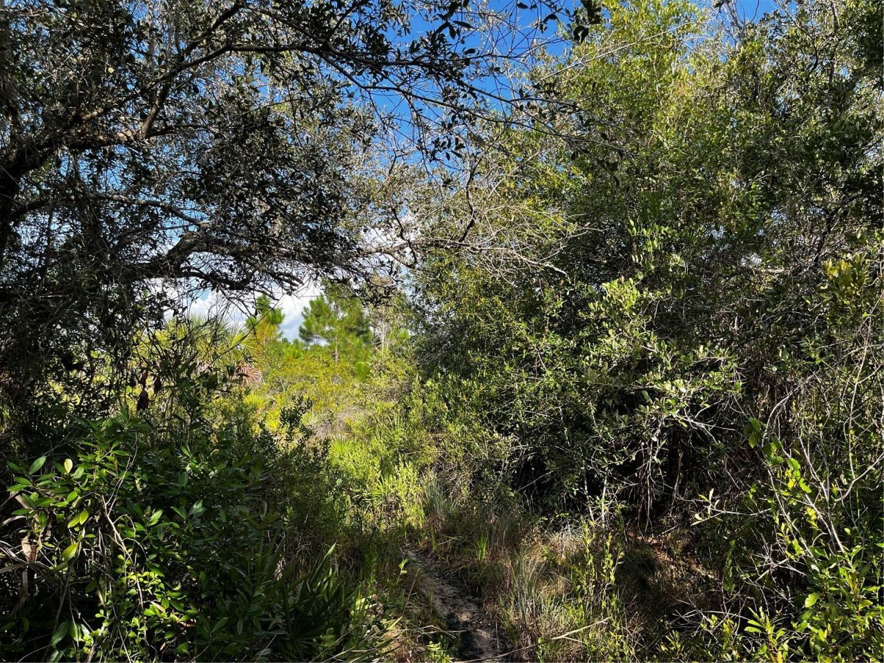 50204 Bermont Road, Punta Gorda, FL 33982 Photo