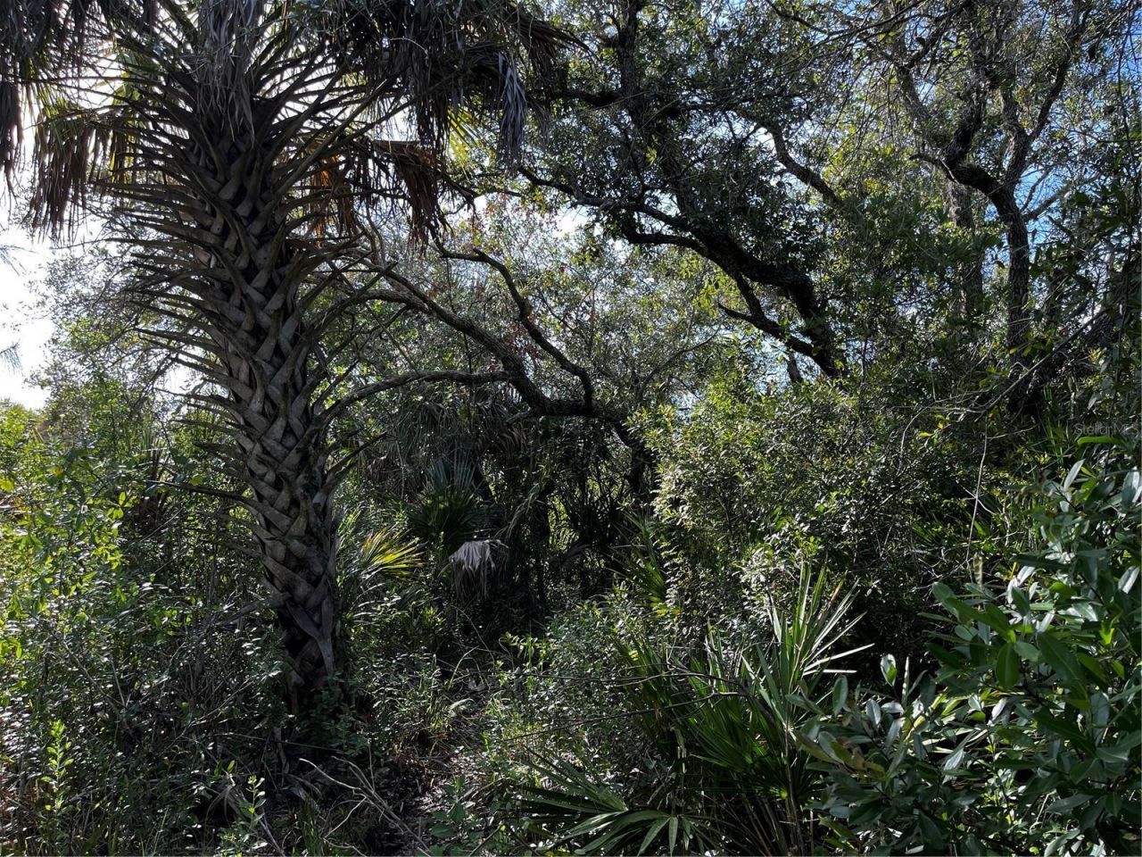 50204 Bermont Road, Punta Gorda, FL 33982 Photo