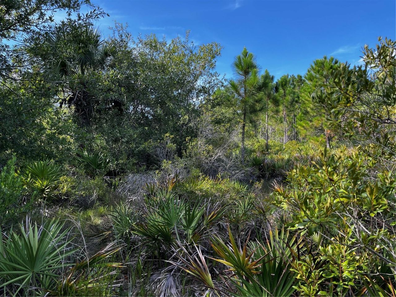 50204 Bermont Road, Punta Gorda, FL 33982 Photo