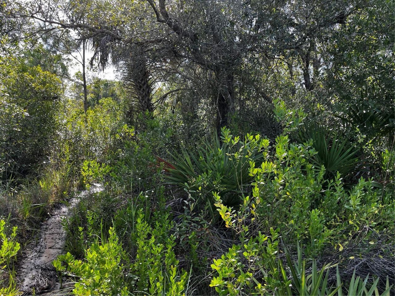 50204 Bermont Road, Punta Gorda, FL 33982 Photo