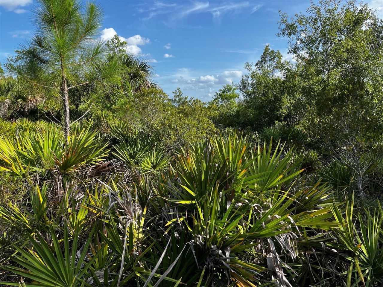 50204 Bermont Road, Punta Gorda, FL 33982 Photo