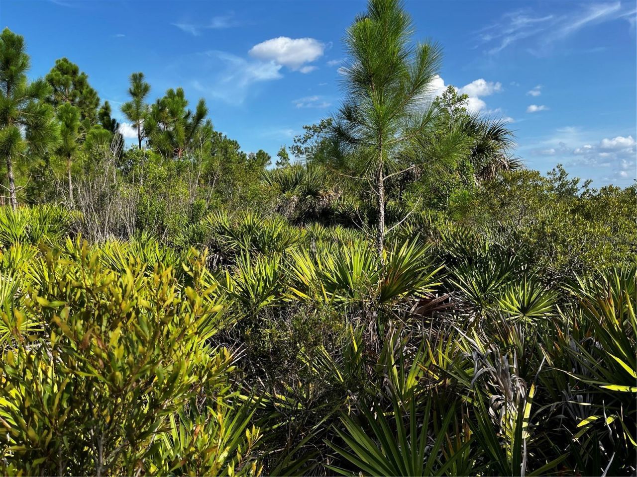 50204 Bermont Road, Punta Gorda, FL 33982 Photo