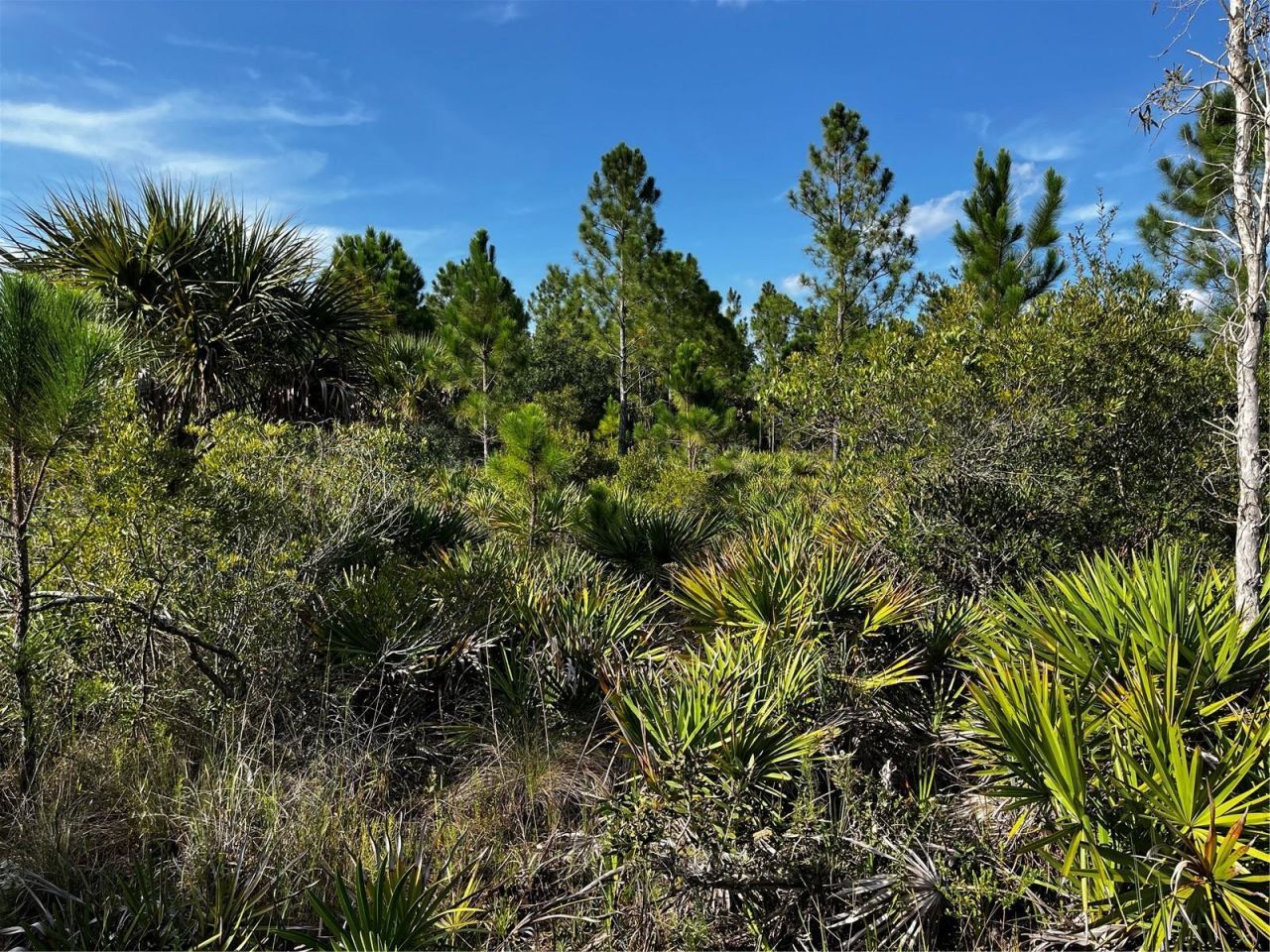 50204 Bermont Road, Punta Gorda, FL 33982 Photo