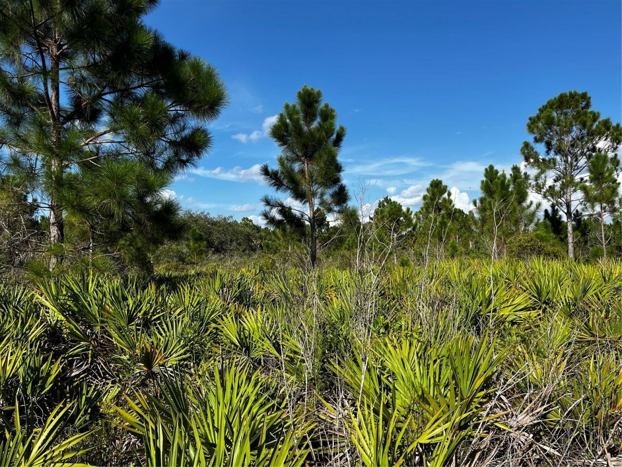 50204 Bermont Road, Punta Gorda, FL 33982 Photo