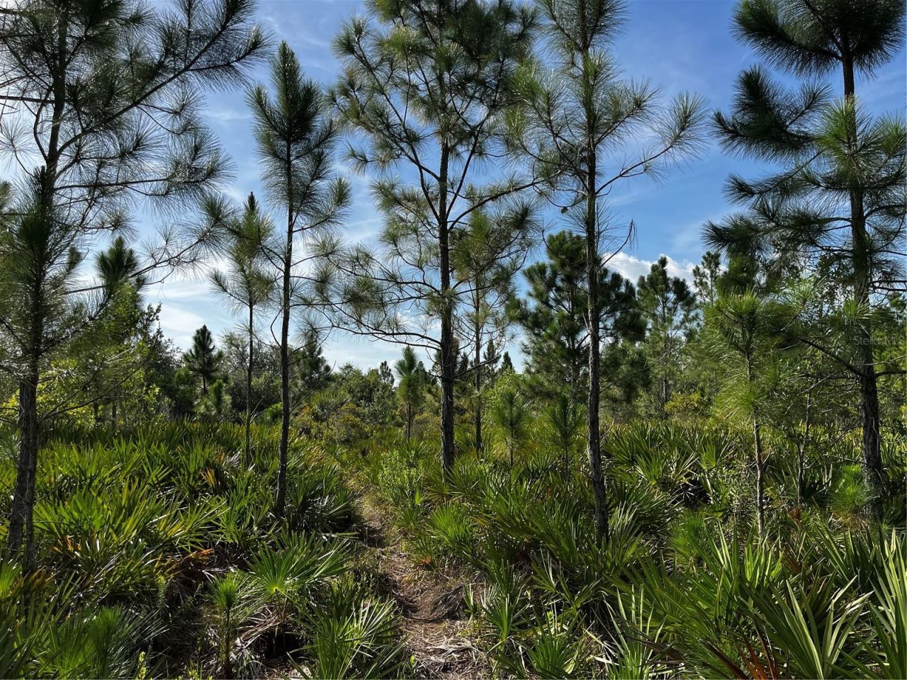 50204 Bermont Road, Punta Gorda, FL 33982 Photo