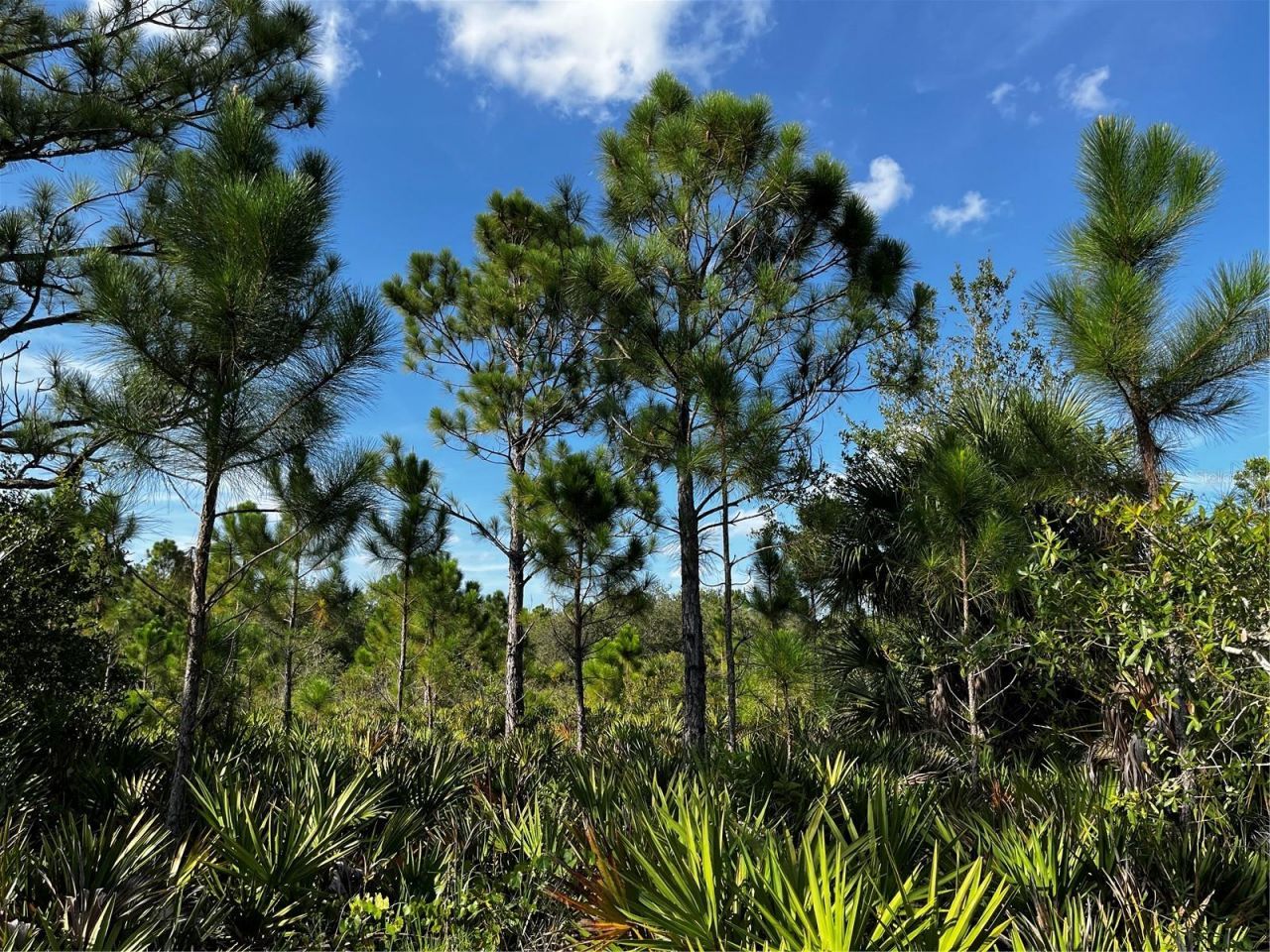 50204 Bermont Road, Punta Gorda, FL 33982 Photo