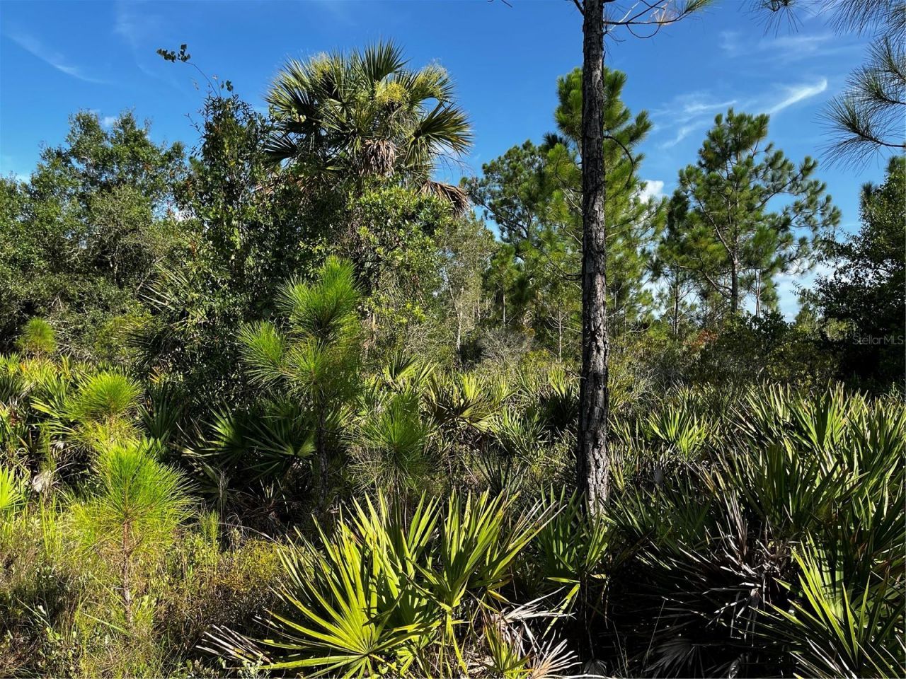 50204 Bermont Road, Punta Gorda, FL 33982 Photo