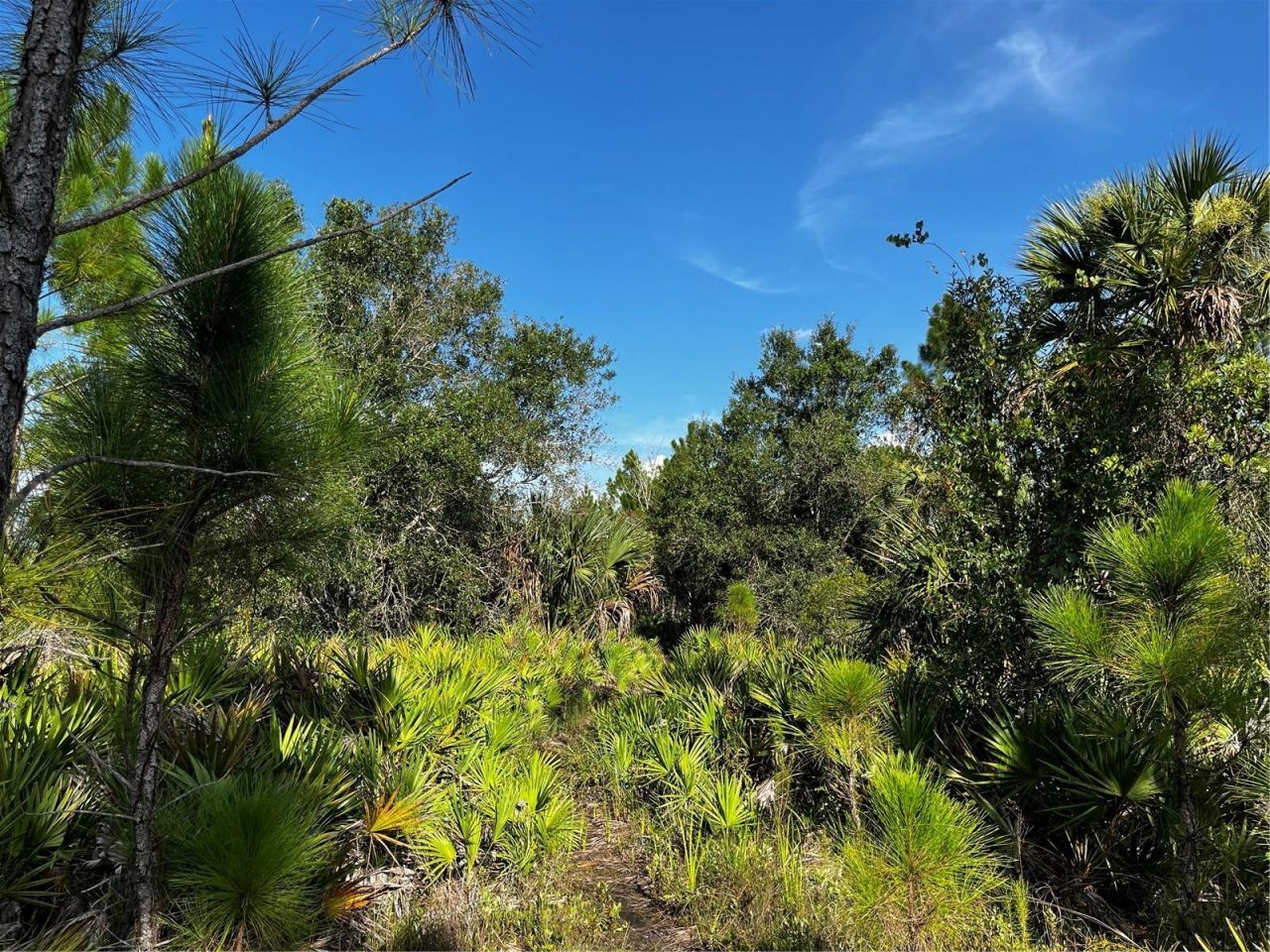 50204 Bermont Road, Punta Gorda, FL 33982 Photo