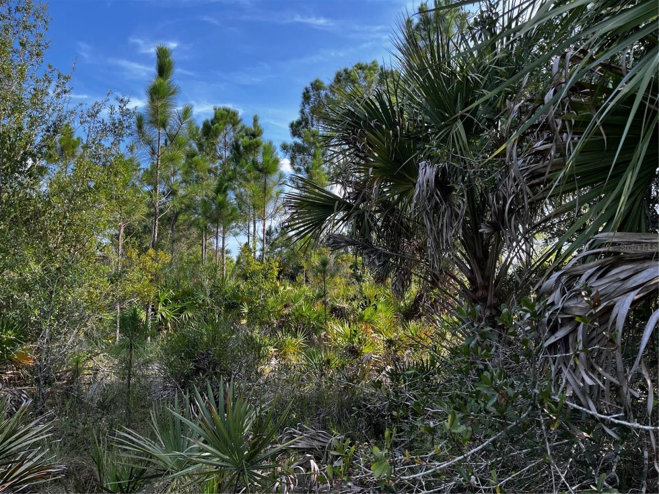 50204 Bermont Road, Punta Gorda, FL 33982 Photo