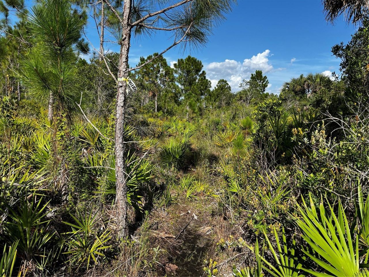 50204 Bermont Road, Punta Gorda, FL 33982 Photo