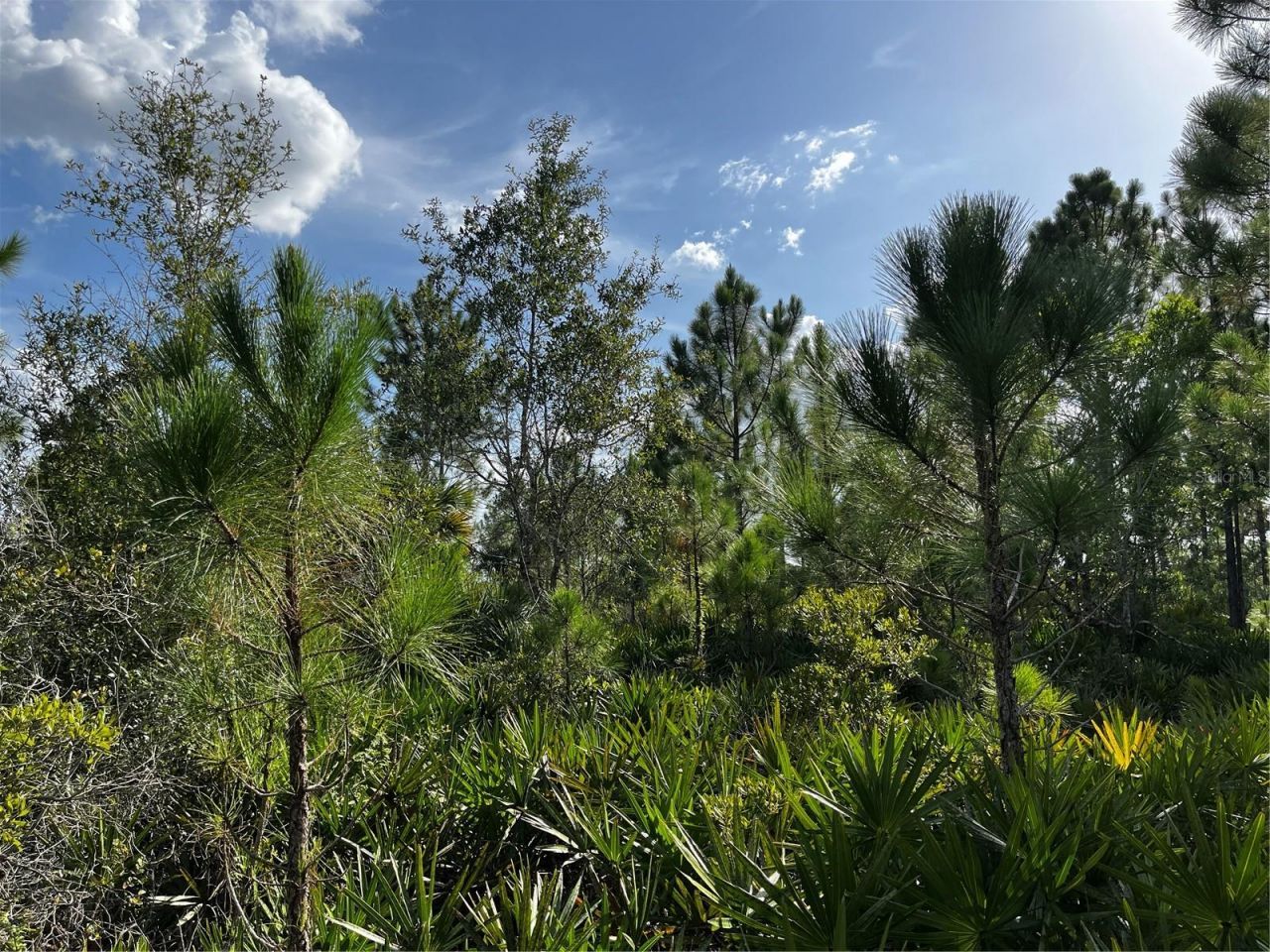 50204 Bermont Road, Punta Gorda, FL 33982 Photo