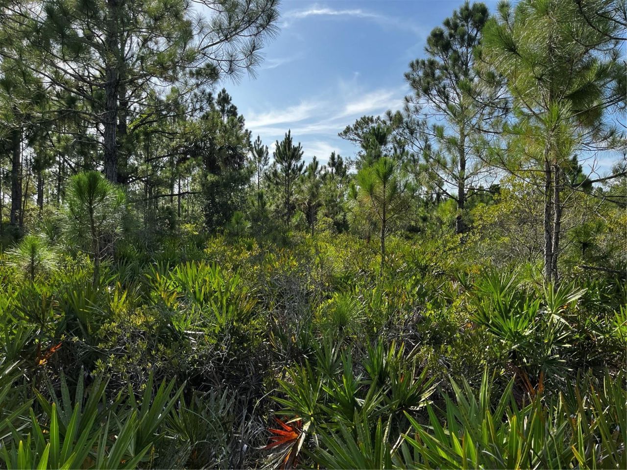 50204 Bermont Road, Punta Gorda, FL 33982 Photo