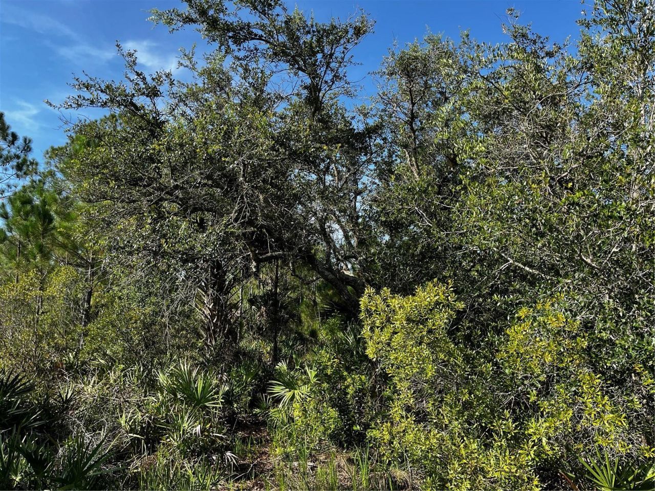 50204 Bermont Road, Punta Gorda, FL 33982 Photo