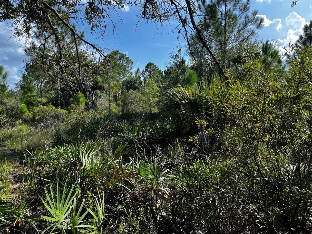 50204 Bermont Road, Punta Gorda, FL 33982 Photo