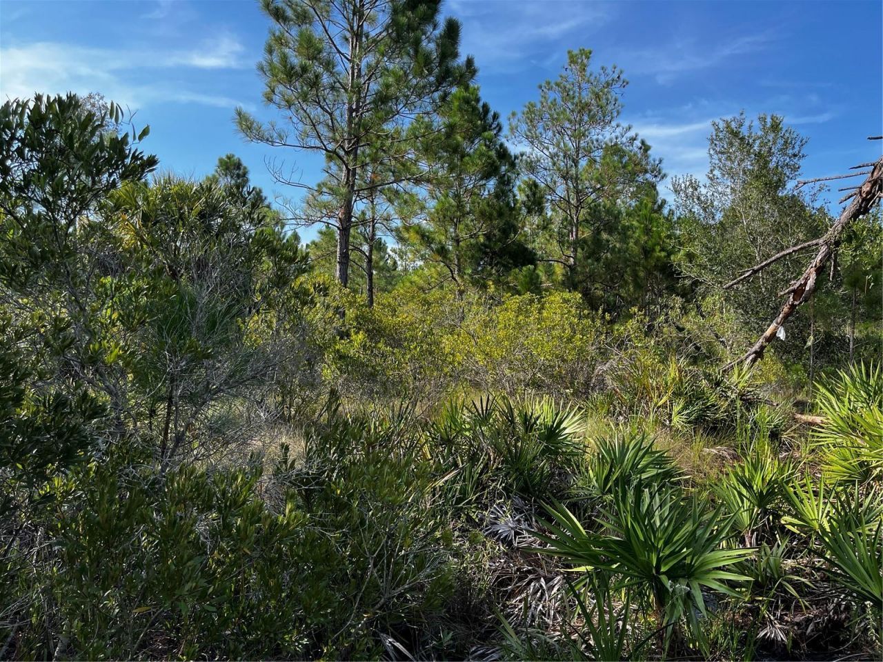 50204 Bermont Road, Punta Gorda, FL 33982 Photo