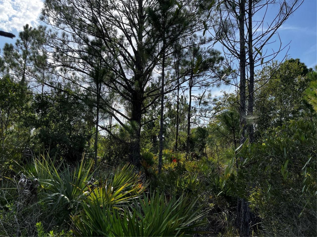 50204 Bermont Road, Punta Gorda, FL 33982 Photo