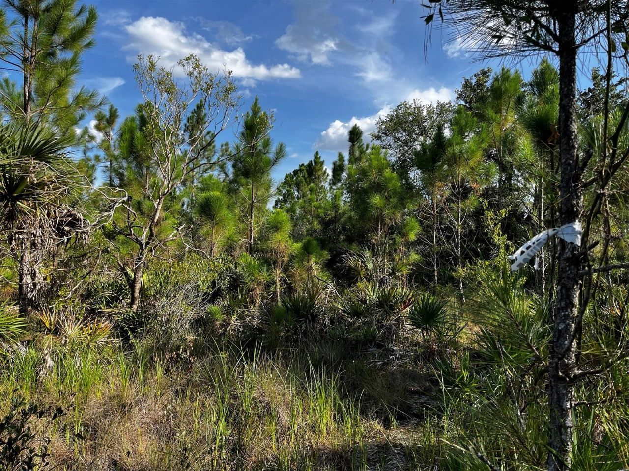 50204 Bermont Road, Punta Gorda, FL 33982 Photo