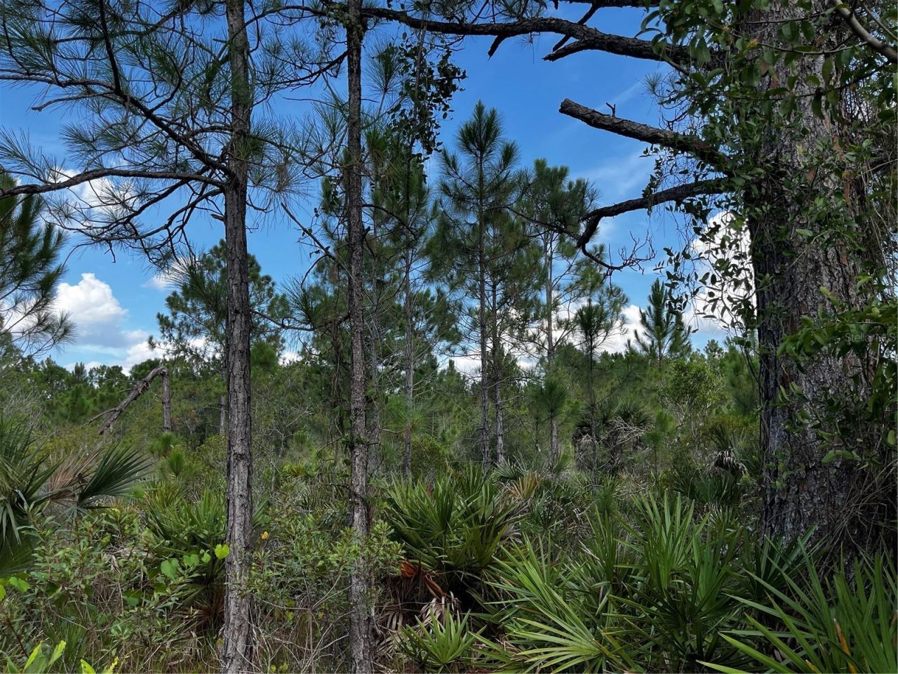 50204 Bermont Road, Punta Gorda, FL 33982 Photo