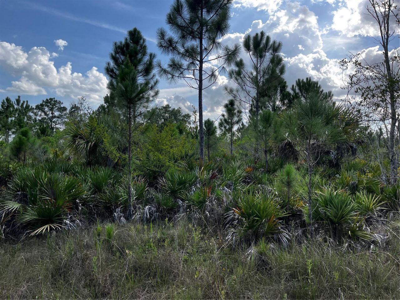 50204 Bermont Road, Punta Gorda, FL 33982 Photo